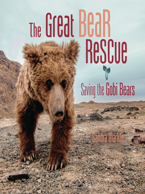 Title details for The Great Bear Rescue by Sandra Markle - Wait list